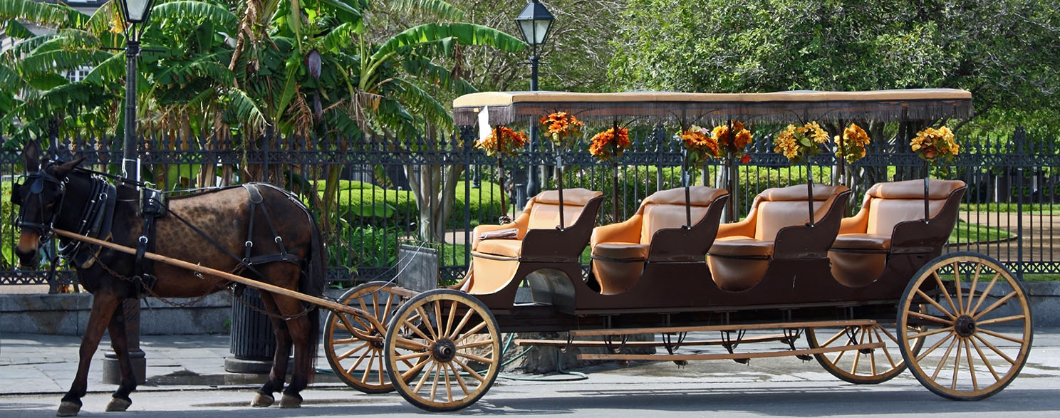 Great New Orleans Deals
